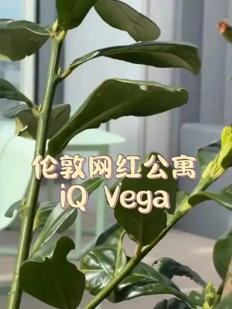 倫敦|22年的新公寓，Vauxhall高層近學校