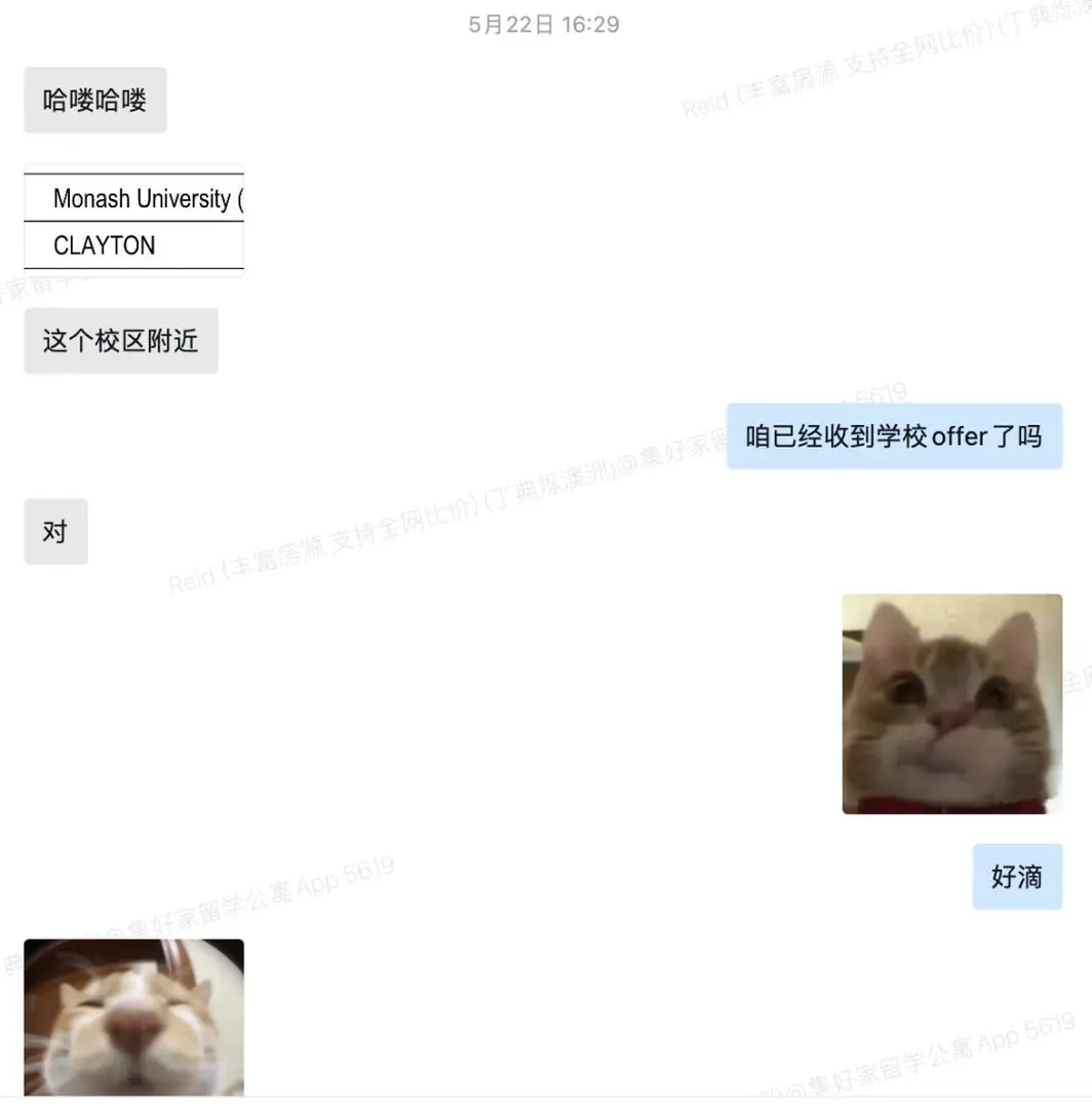 墨爾本租房歷險記之Scape Franklin！