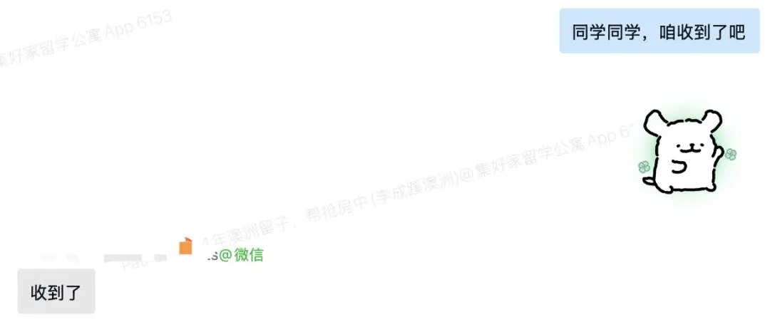 🇦🇺澳洲留子當顧問day3