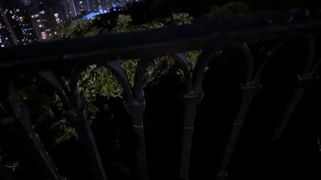 ✨香港夜未眠