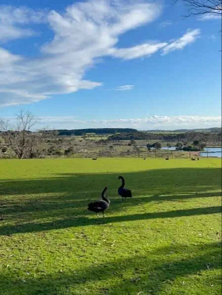 Philip Island Wildlife Park值得去嗎？