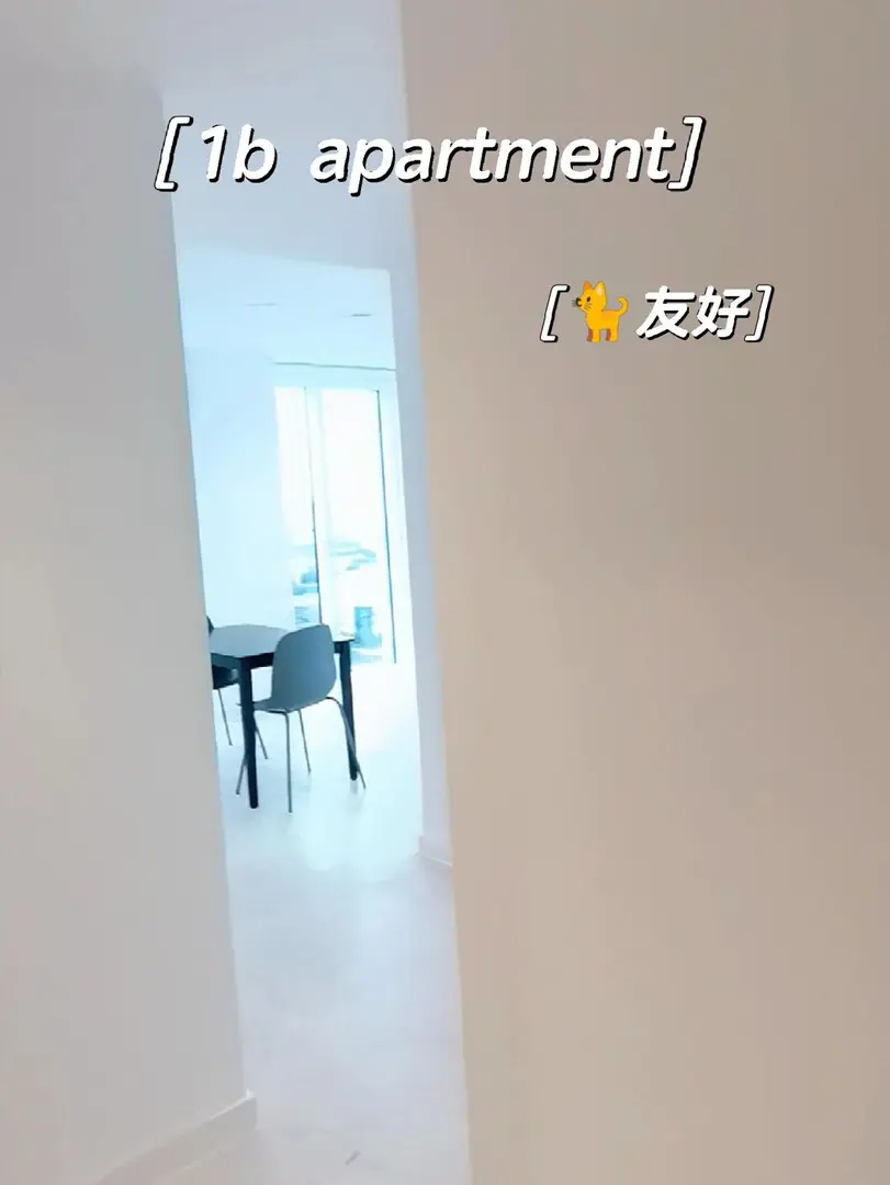 倫敦KCL，寵物友好🐈，陽光滿屋的幸福感
