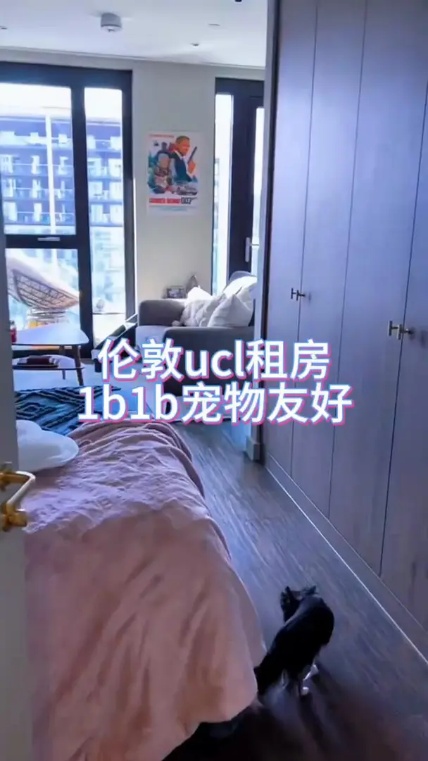 倫敦寵物友好的1b1b，適合ucl寶寶的