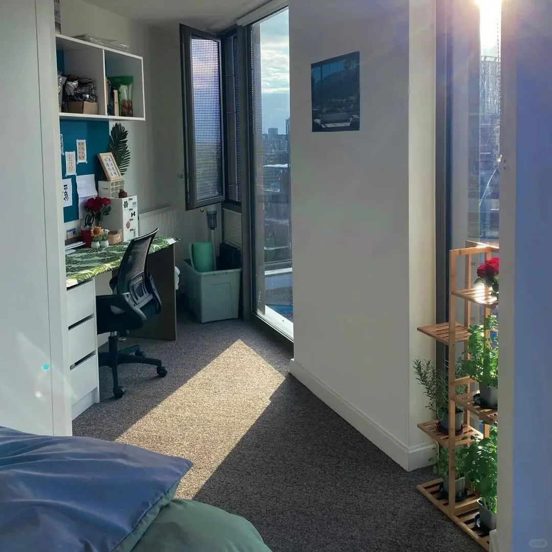 UCL驚了，300+大平層studio，夢中情房