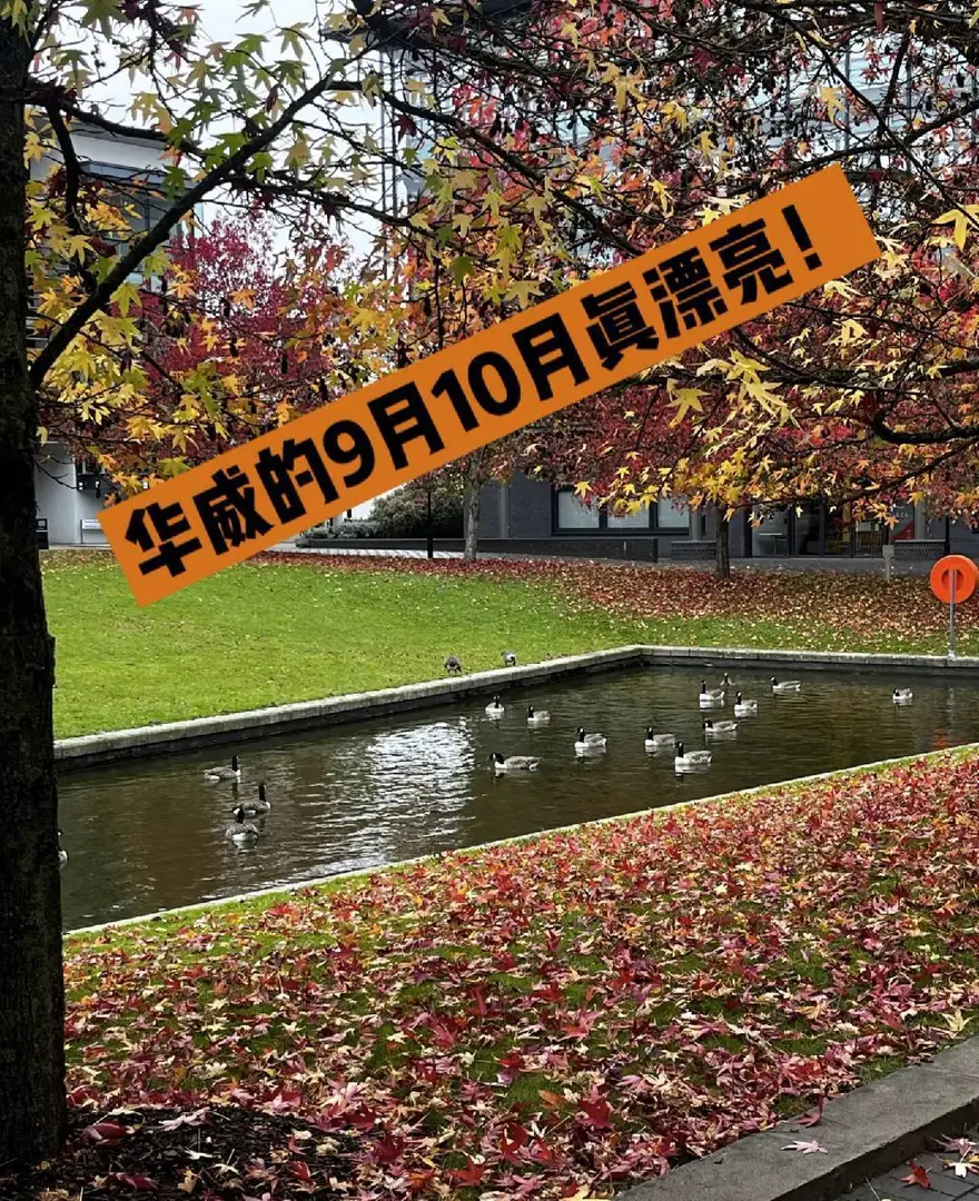考文垂租房別踩坑⚠️Vita學姐強推🏠