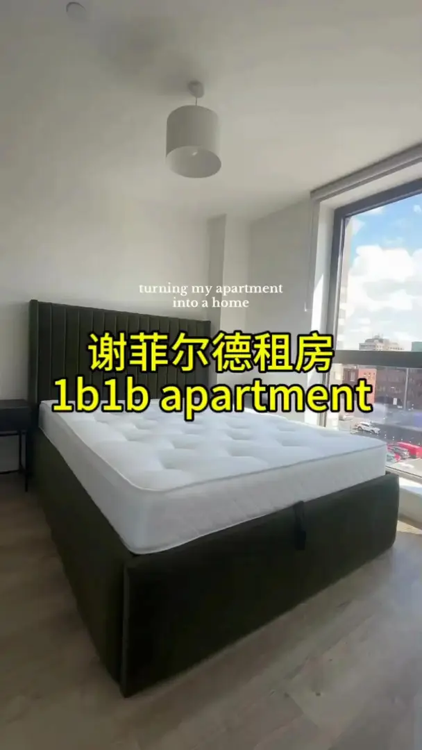 謝菲爾德1b1b，真的很需要客廳和臥室分開！