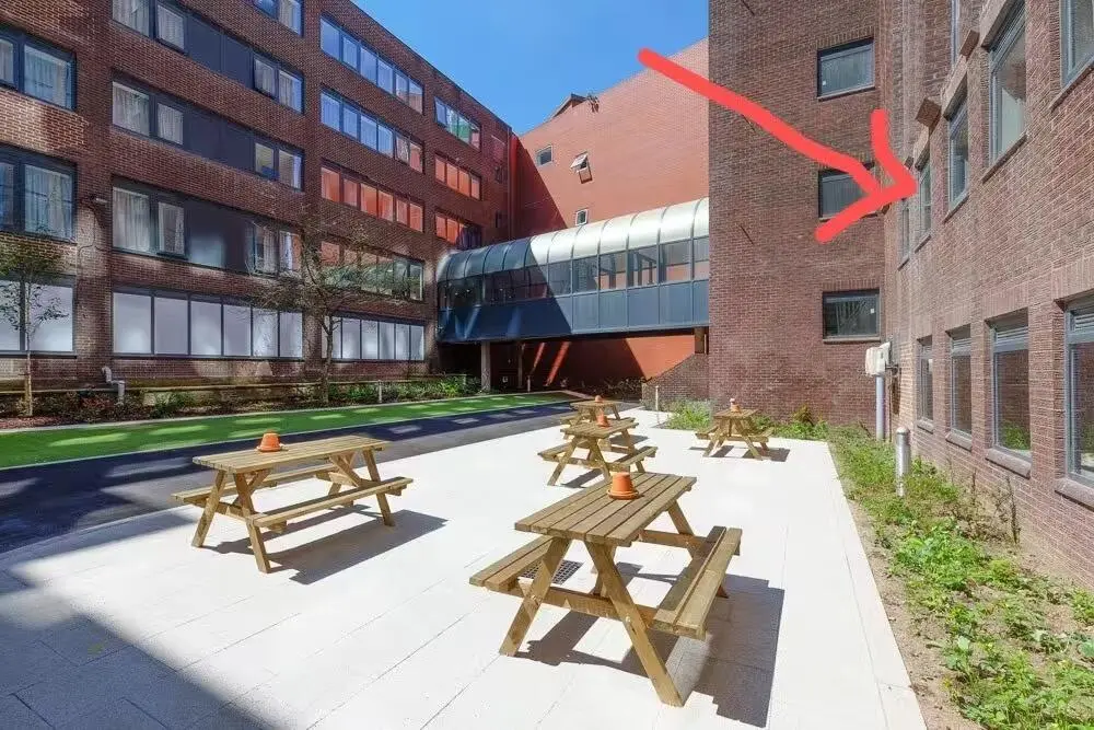 謝菲｜42苹1b1b 九月起 220胖包bills