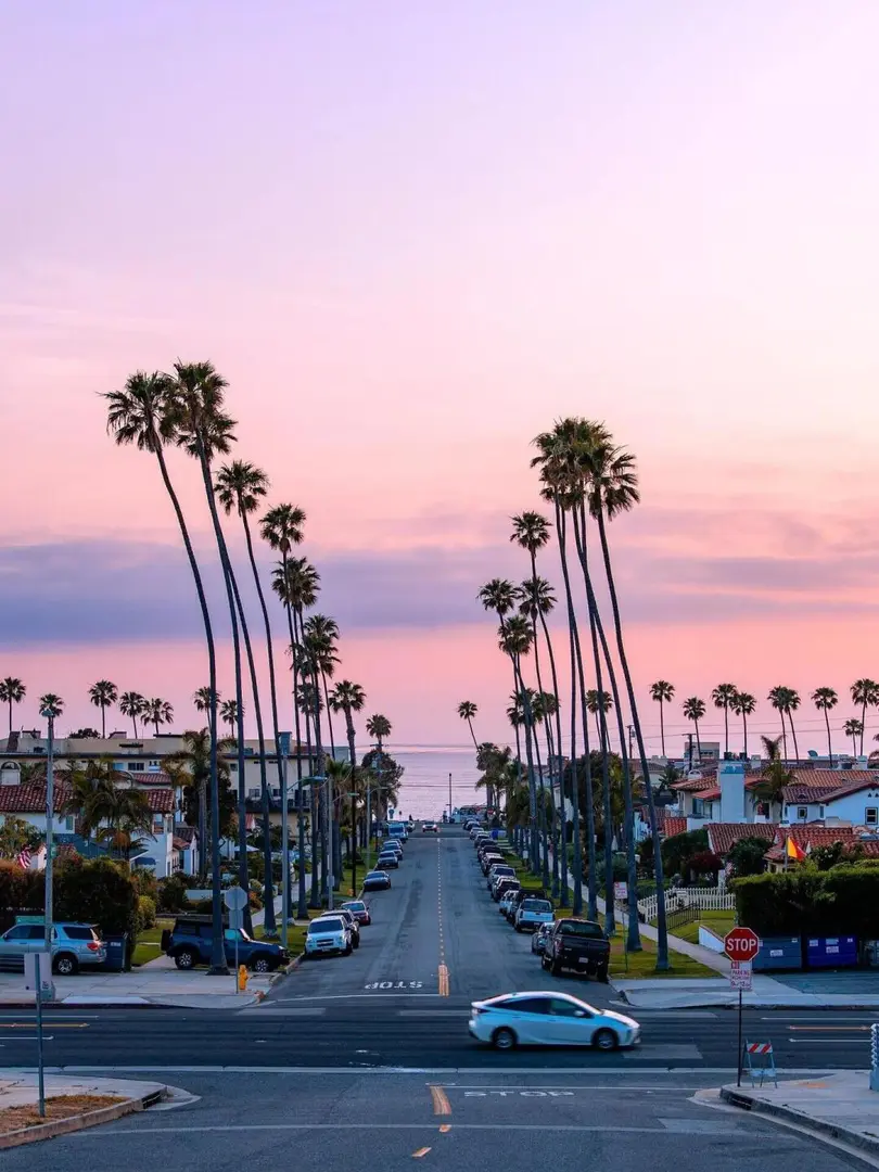 City of Angels—洛杉磯🇺🇸加州特產✨