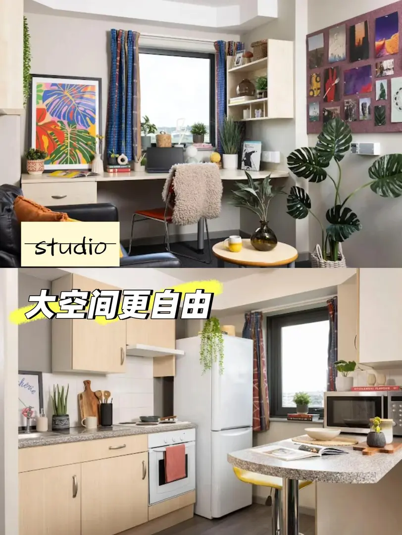 🌰CP公寓性價比天花板，中國留學生聚集地！
