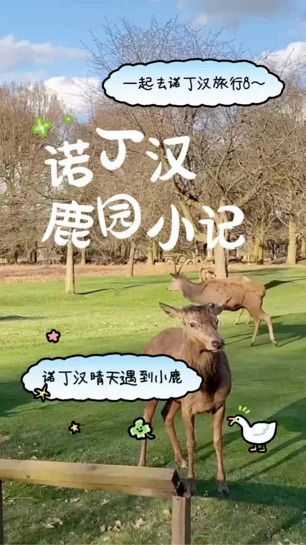 諾丁漢偶遇小鹿的治癒瞬間🍃