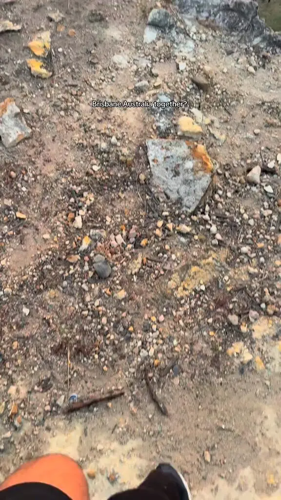 在布里斯班袋鼠看日落🌄