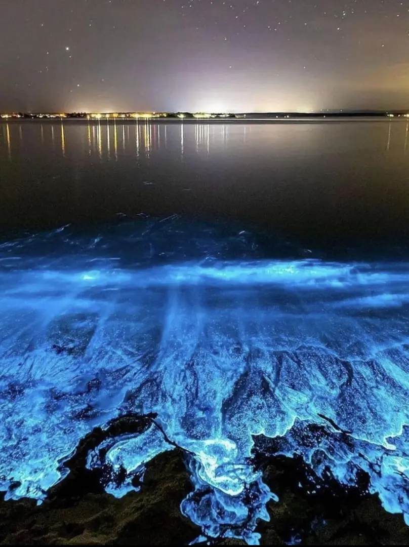 6月英國南安限定—藍眼淚💧