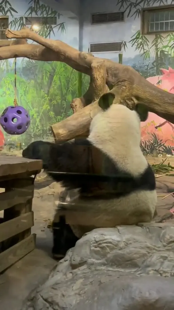 好淡定～好像人～
