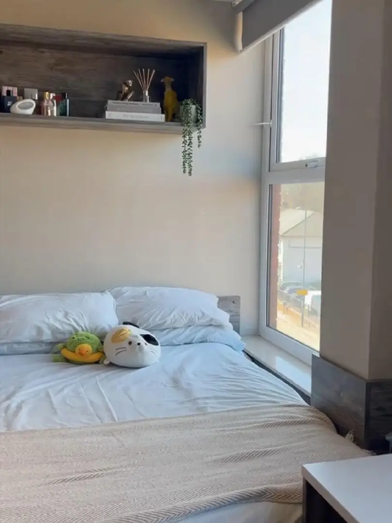 布大附近個人轉租studio 包bill 可小🔪