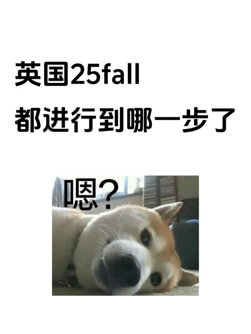 準備來英留學的25fall友友都幹嘛呢