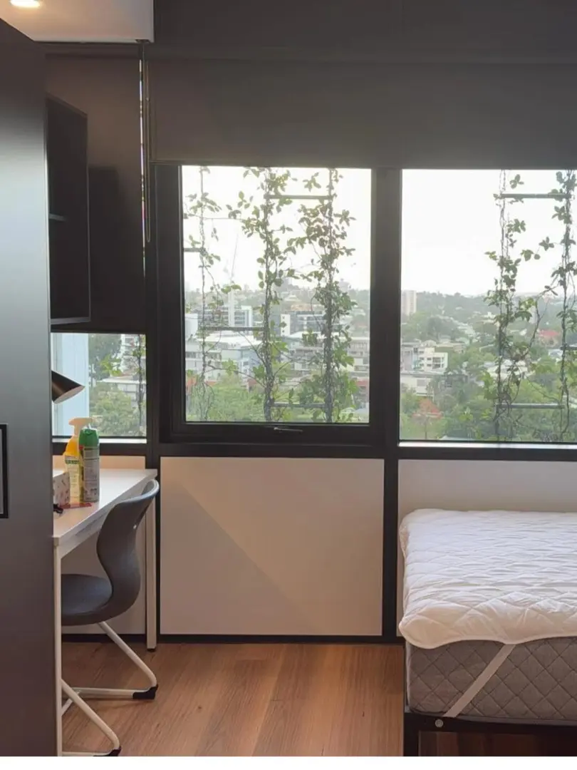 布里斯班Toowong7️⃣月找室友 近UQ