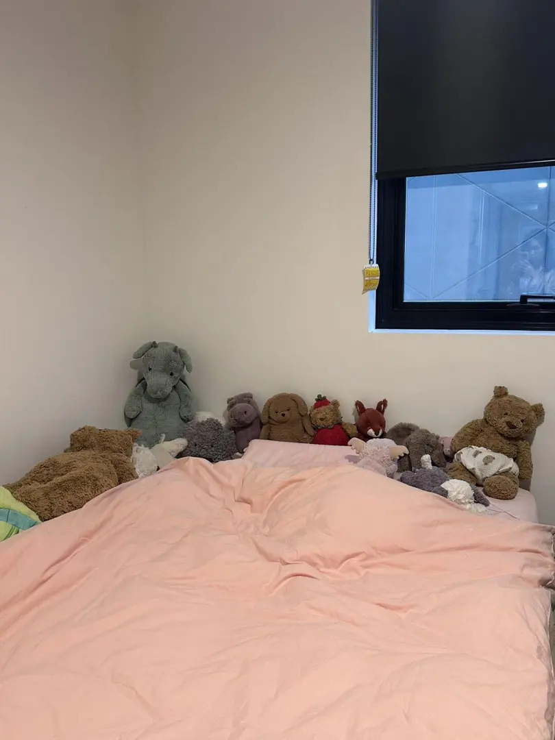 🔥阿德萊德溫馨1房來啦❗