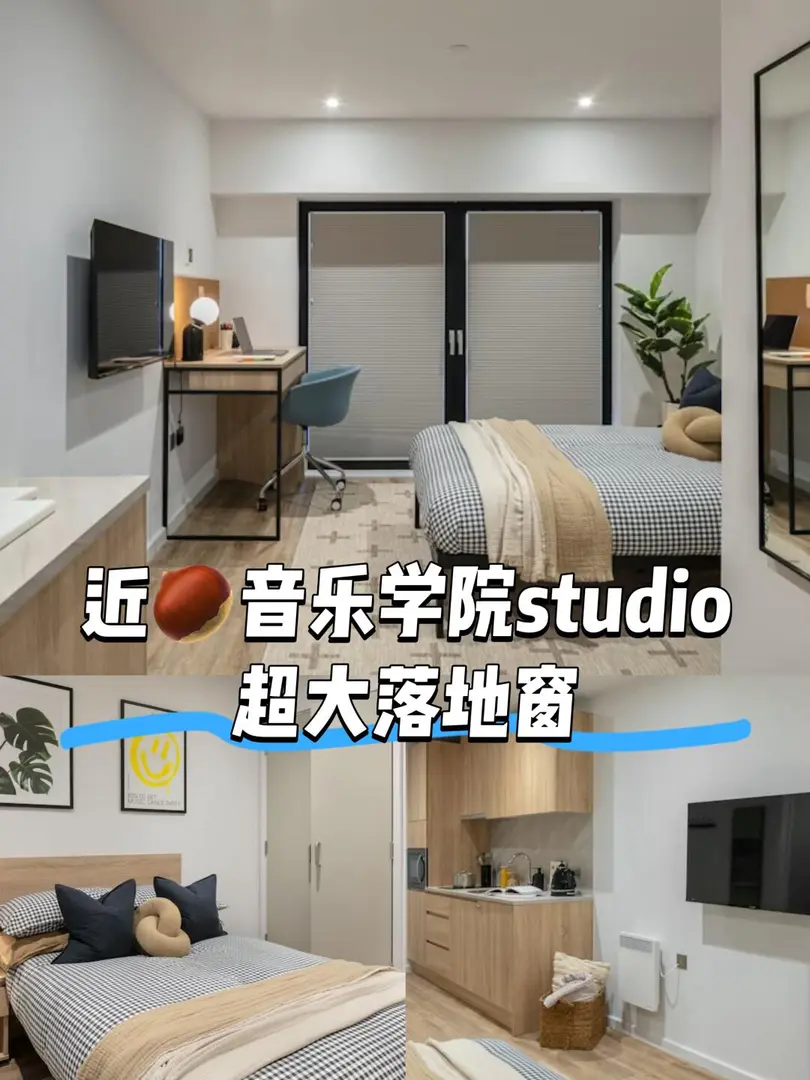 🌰音樂學院的寶子在哪裡🧐