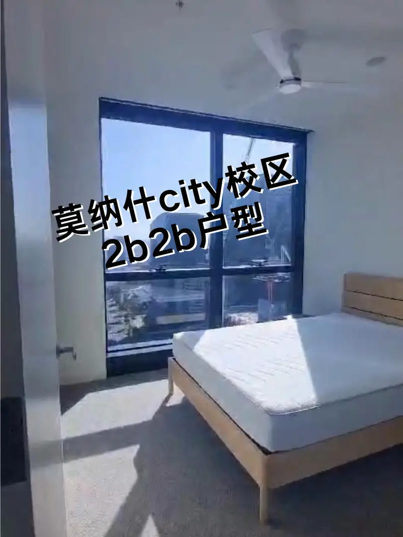 墨爾本Monash找到這麼大的2b2b我簡直是天才