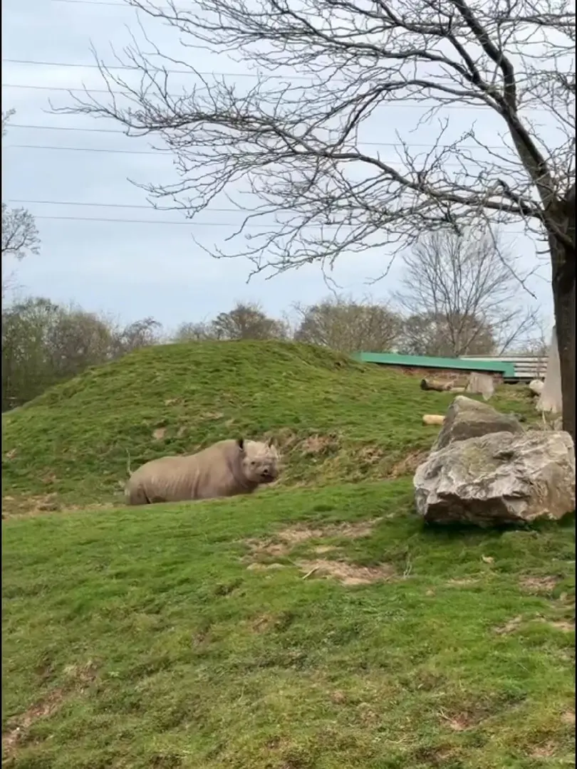 🇬🇧曼城｜逛動物園～～