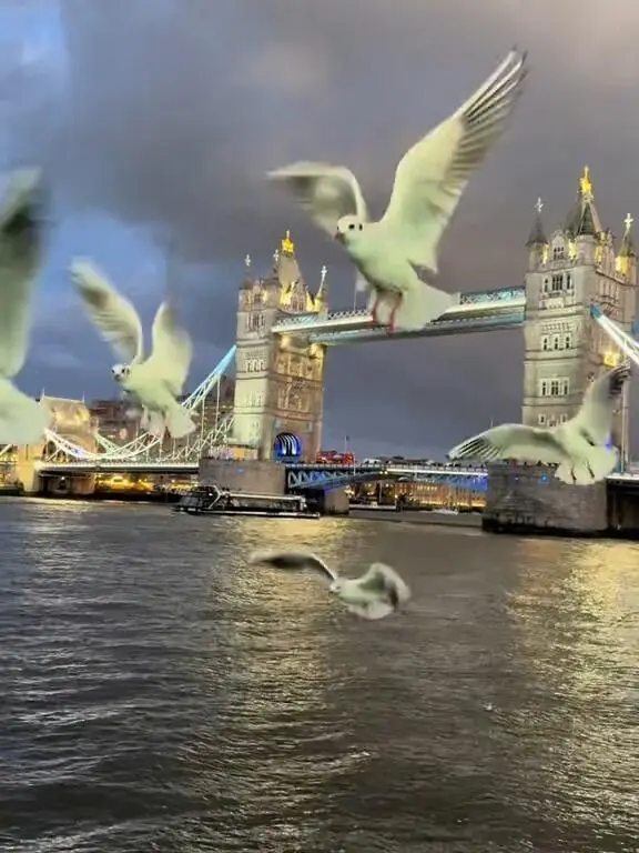 🇬🇧倫敦橋的夜景🌃