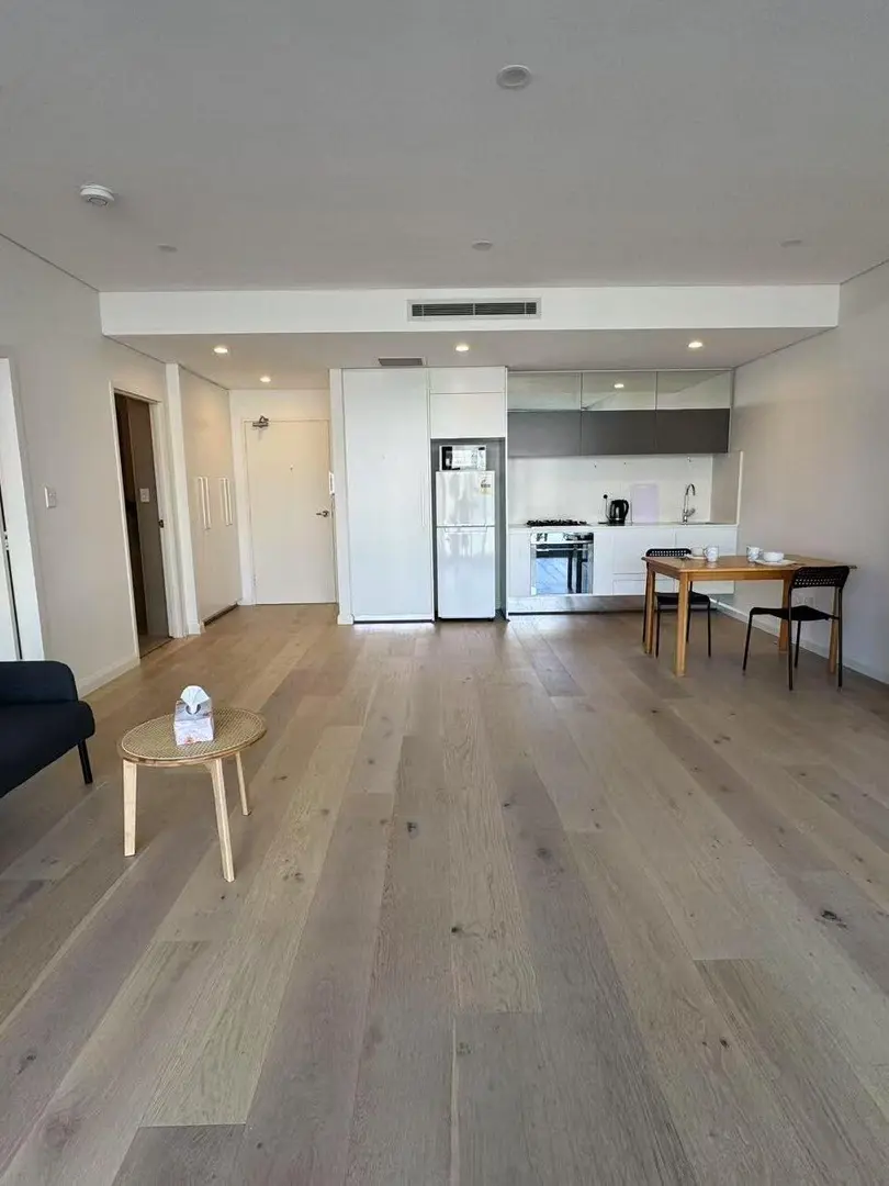 悉大斜對面1b1b，全屋空調+木地板，落地窗