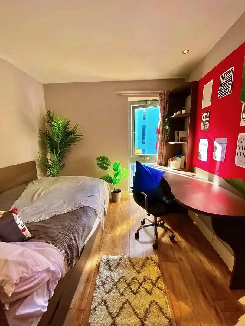 倫敦🇬🇧｜開學入這套studio都羨慕住了