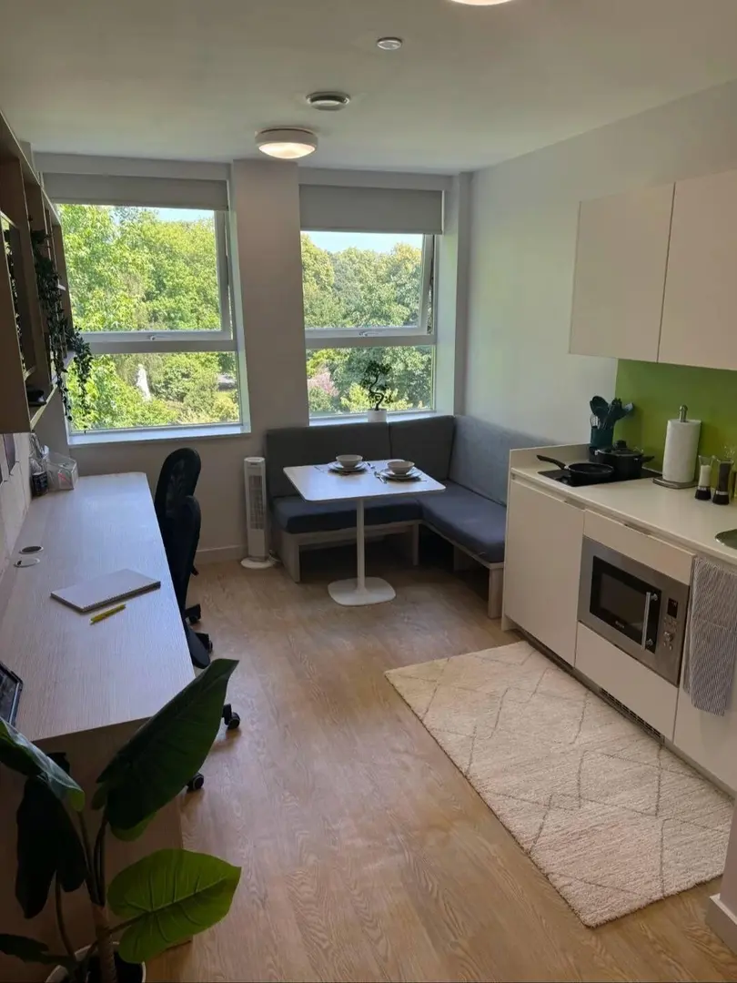 誰還沒住到南安這個絕美view的大床studio！