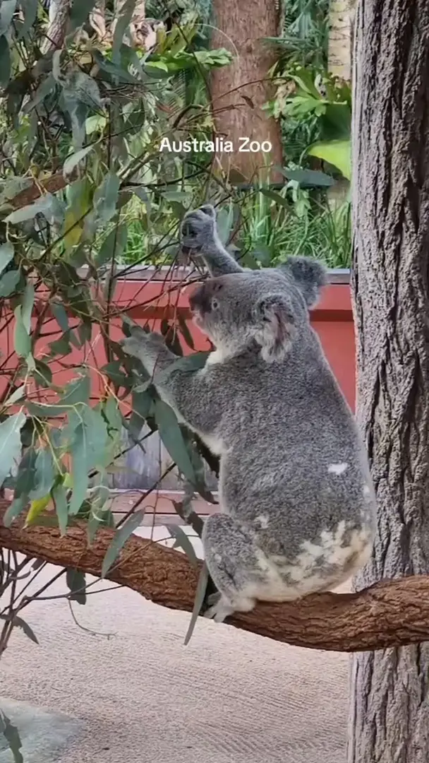 休息日逛公園，逛的什麼園？動物園！
