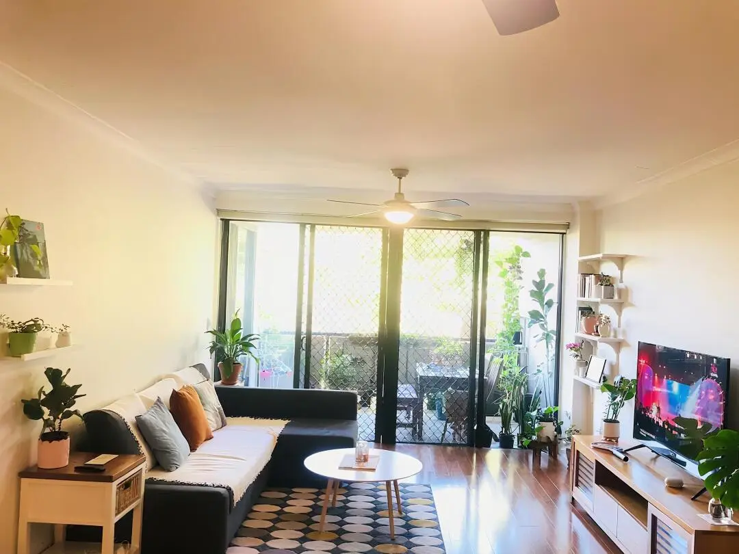 出布里斯班寶藏studio～