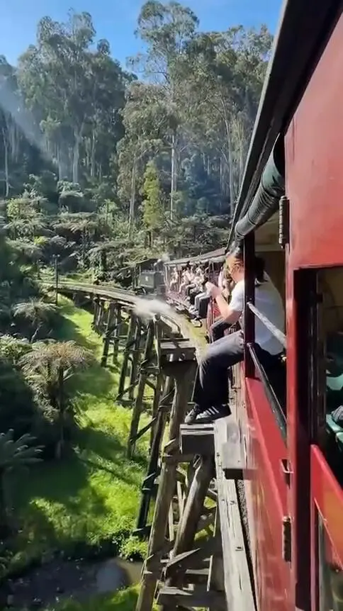 墨爾本蒸汽火車｜把腳伸出窗外才是正經事！