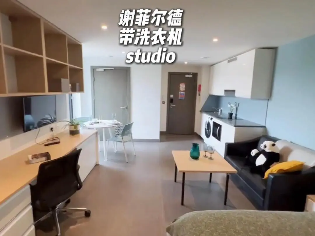 🔥謝菲帶洗衣機和班車的studio，爽到飛起