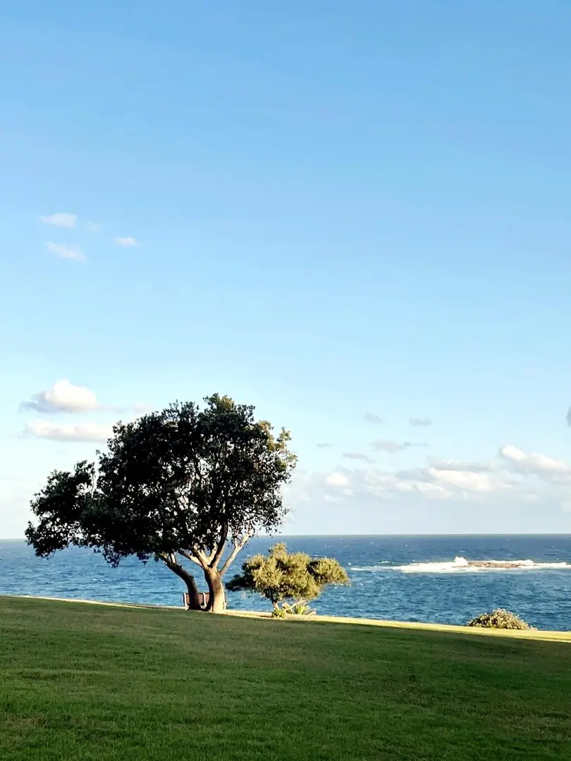 雪梨必打卡海岸徒步路線｜Bondi to Coogee
