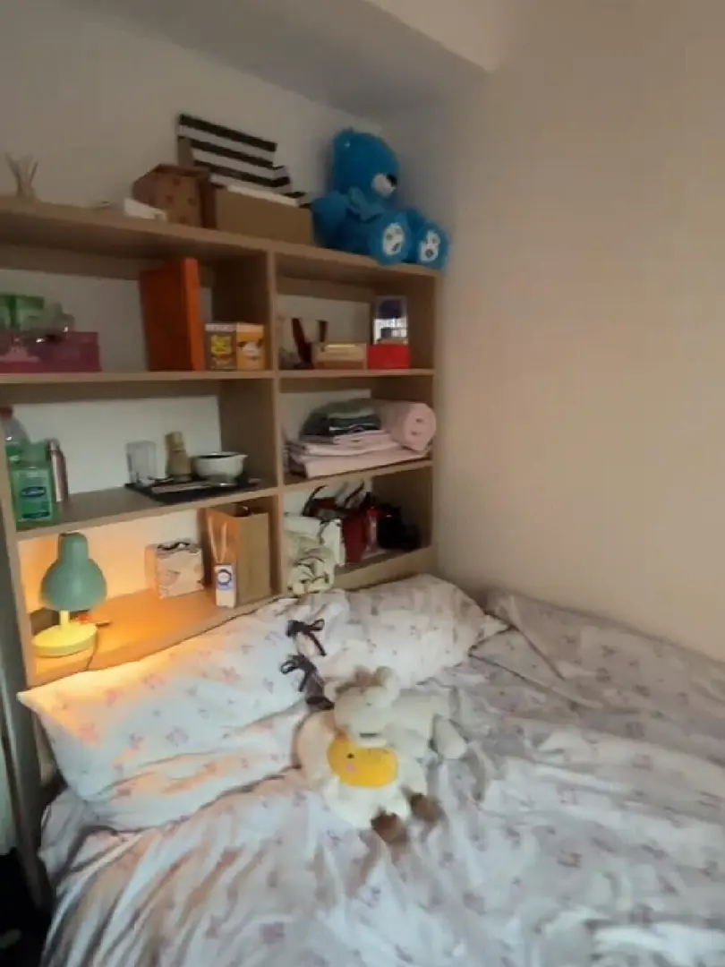 倫敦學生公寓🏠住在UCL門口是什麼體驗