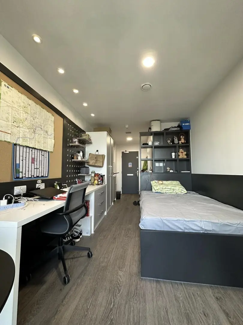 回家嘍～給我UCL的studio小屋找個接班人吧