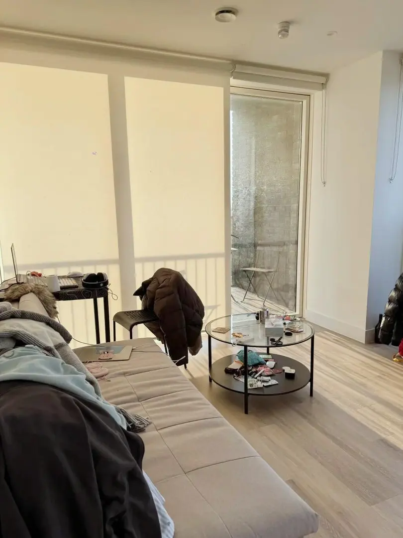 西雅圖低價轉一間studio，🉑️寵物友好