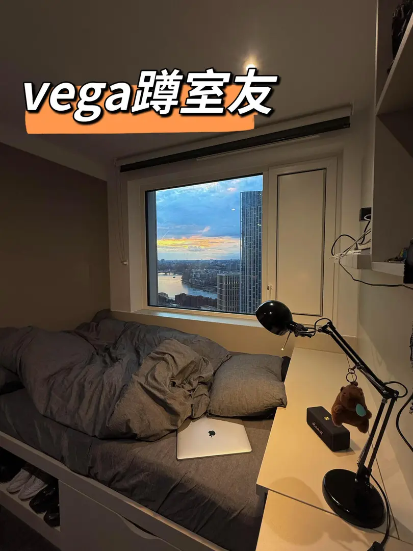 Vega蹲室友，全是中國人！