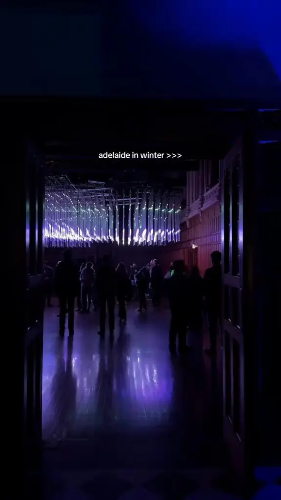 阿德萊德燈光秀都開始了❗️你們快去看❗️