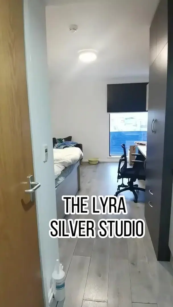 IC附近還有300多的studio？？這窗戶愛了