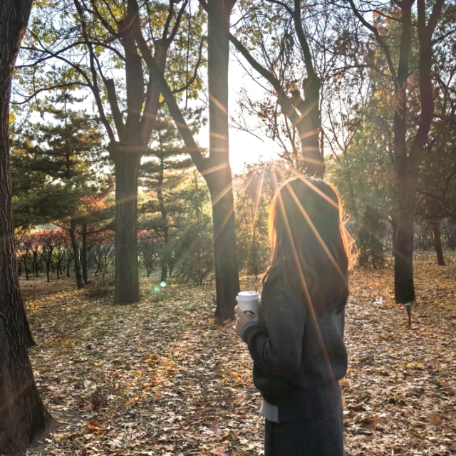 墨爾本1b尋新主人 誠心轉租 敲大落地窗🌞
