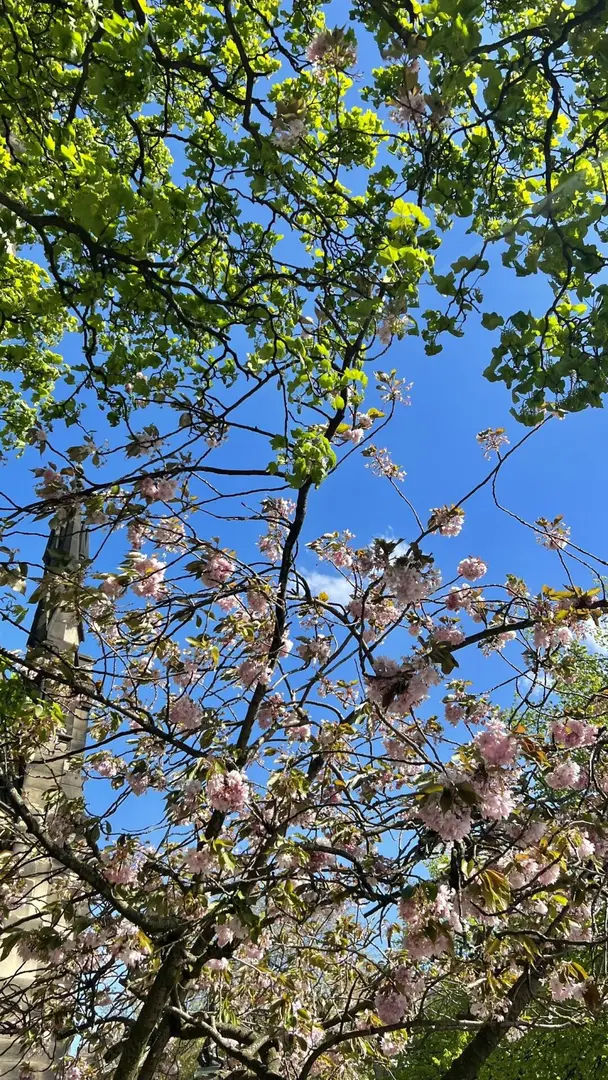 🇬🇧好看的風景不會等你來看Newcastle