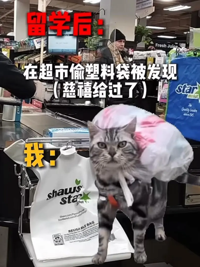 留子出國前後對比反差能有多大