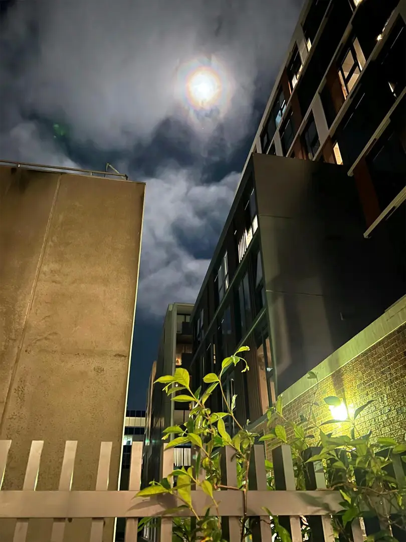 墨爾本公寓已Next Level💰400pw+值哭了