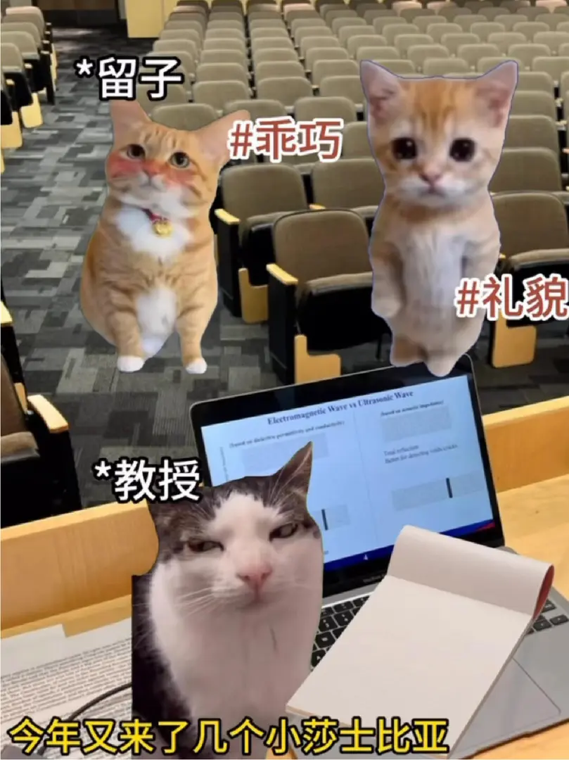 留學：給老外一點莎士比亞的震撼