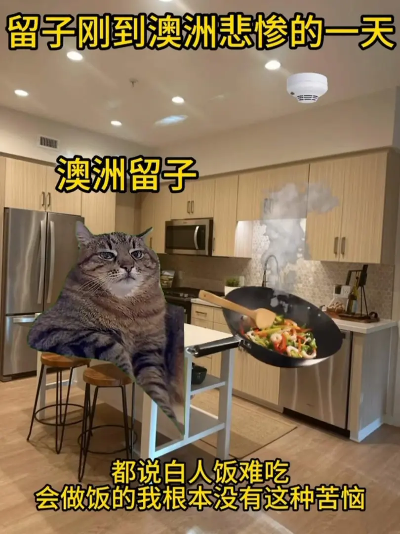 留子剛到澳洲悲慘的一天