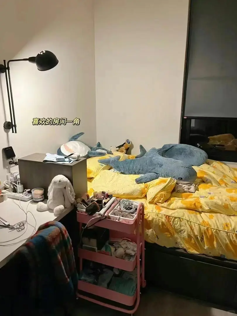 在貓本住到安全感拉滿的地方太爽了吧！😭