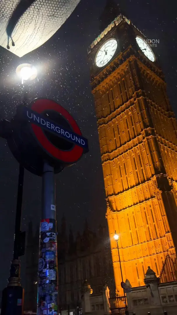 就愛反季的浪漫❄️