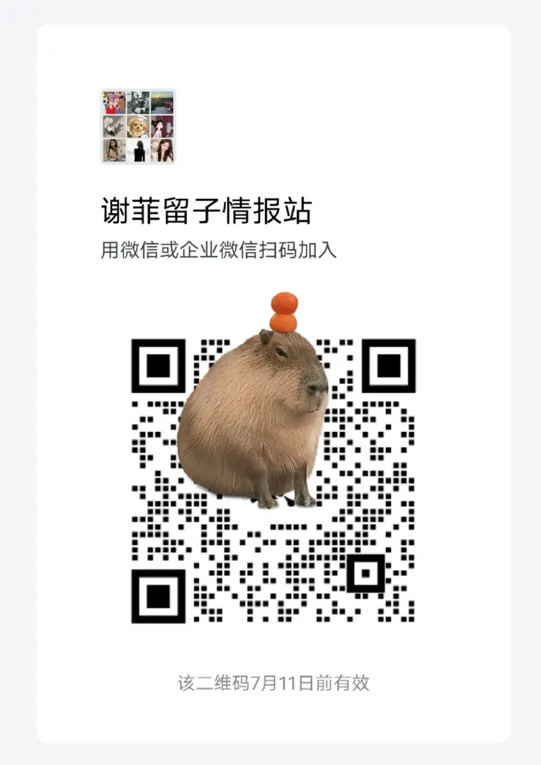 謝菲留子的情報站來啦