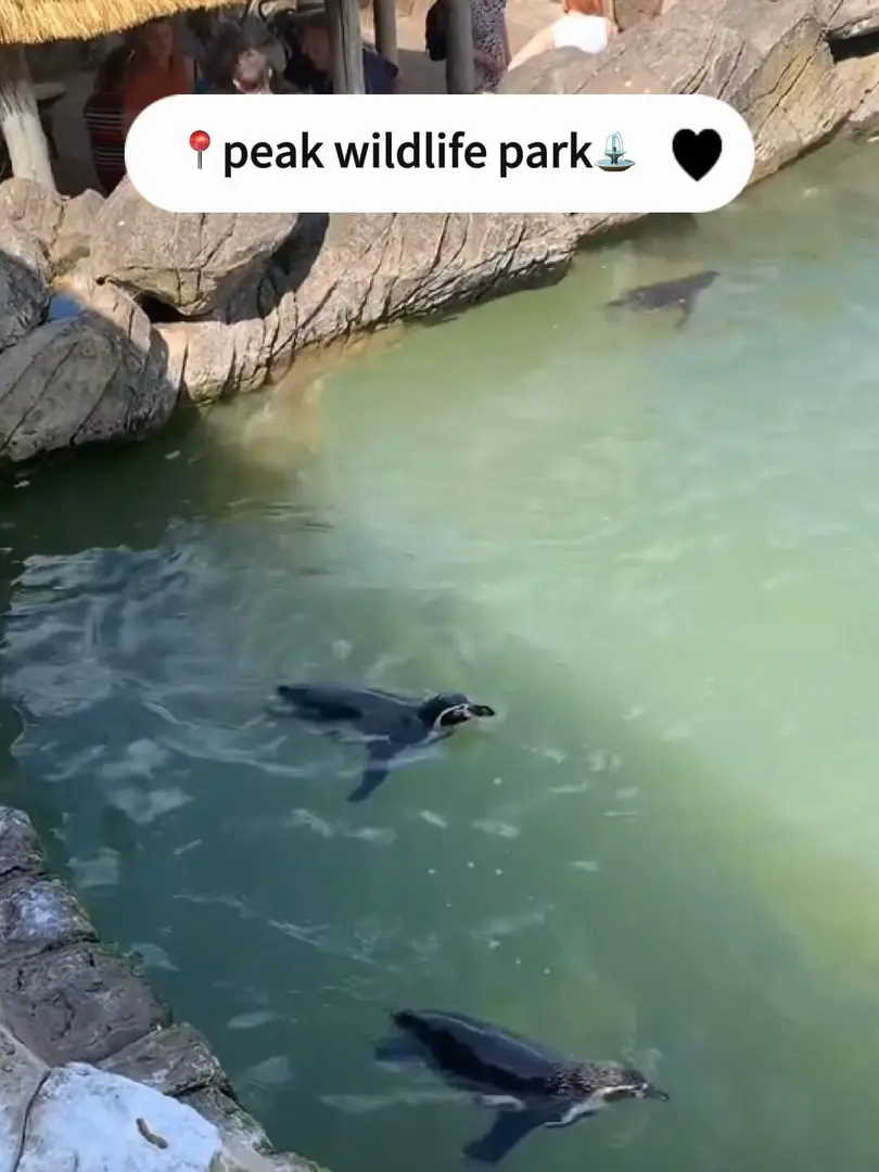 🇬🇧曼徹斯特｜Peak Wildlife Park