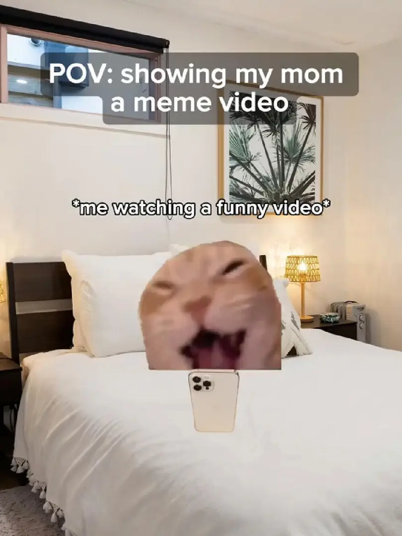 貓meme小劇場～